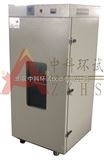 DHG系列充氮烘箱/充氮烤箱/充氮恒温干燥箱