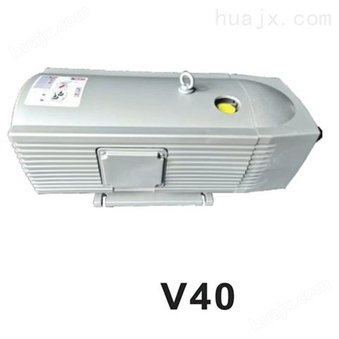 V10真空泵 机械手气泵 220V