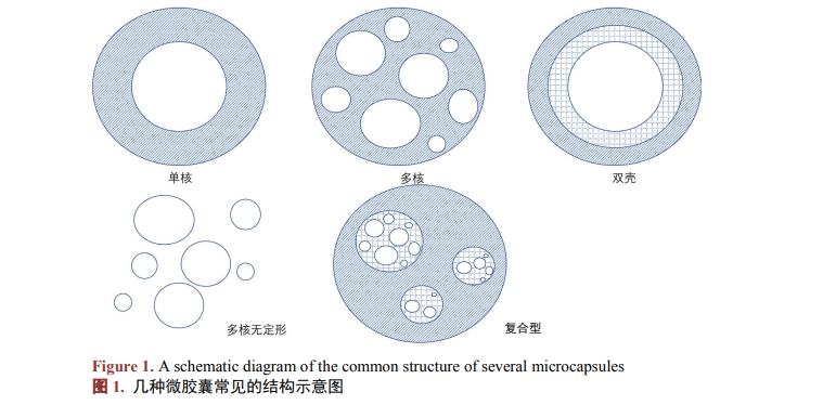 微胶囊常见的结构