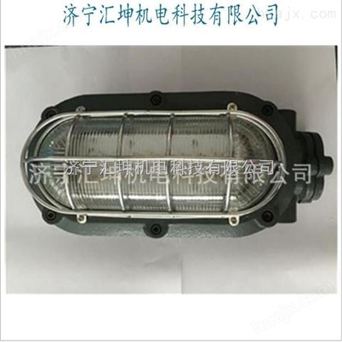 隔爆型LED支架灯DGC18-127L（A）